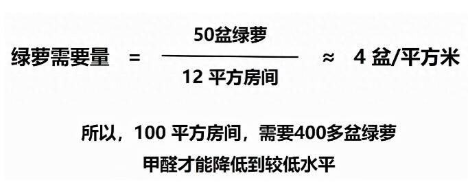 公司用綠蘿除甲醛，到底靠不靠譜？